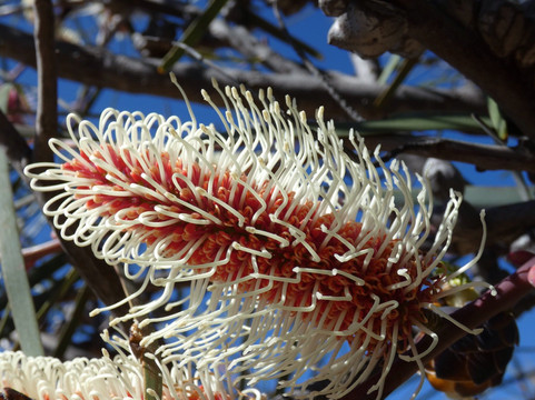 Hidden Hollow-Narembeen必去景点