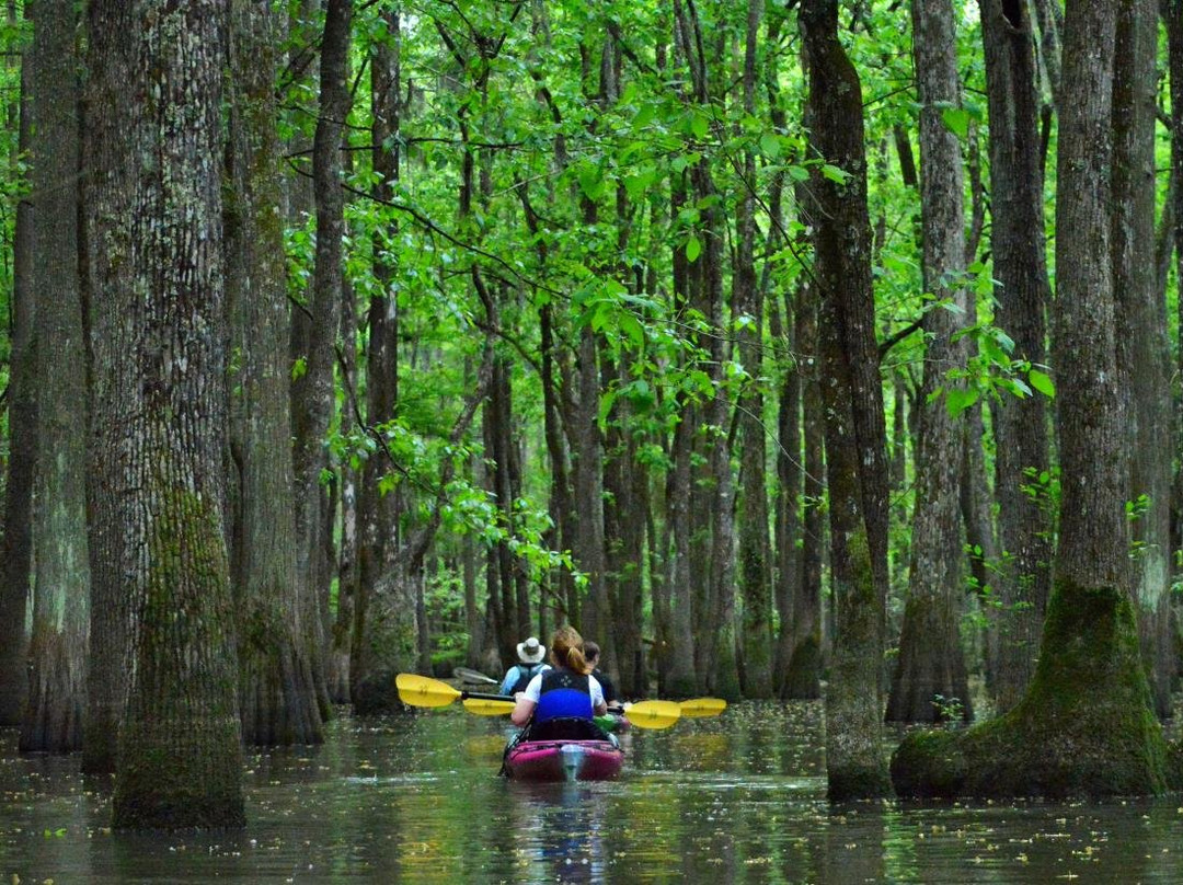 Blueway Adventures景点图片