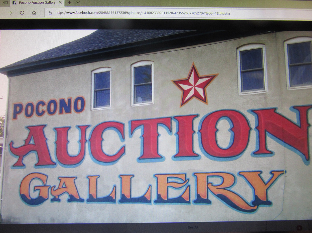 The Pocono Auction Gallery景点图片