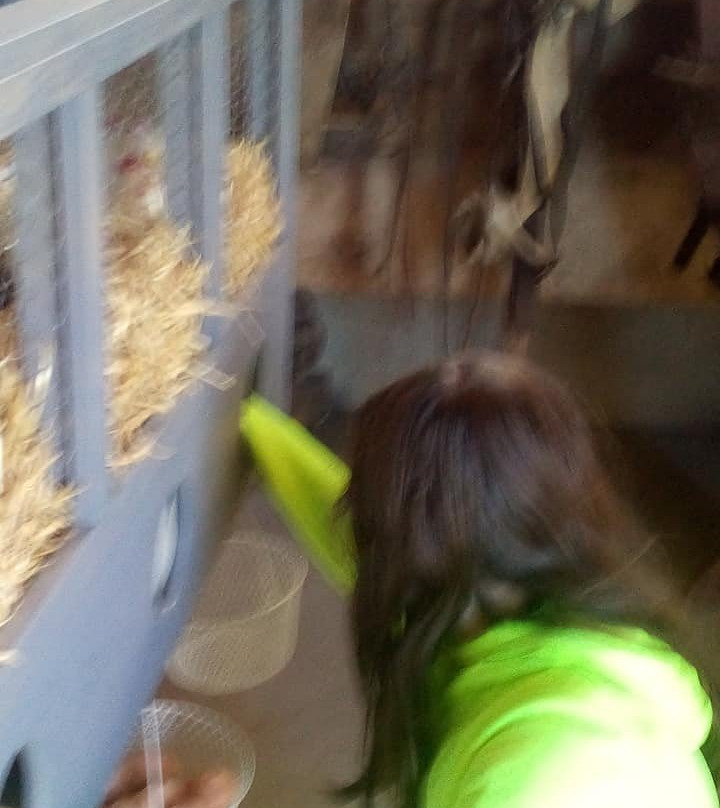 Overland Trail Museum-Sterling必去景点