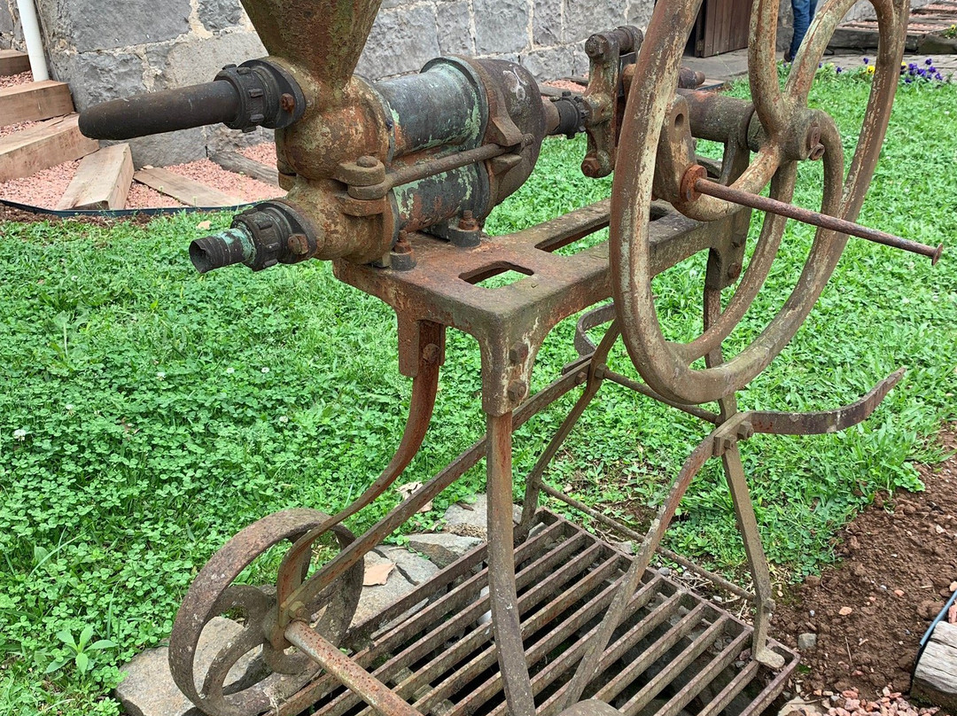 Vinicola Barcarola-本图贡萨尔维斯必去景点