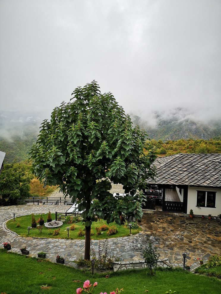 Hotel Leshten-官方