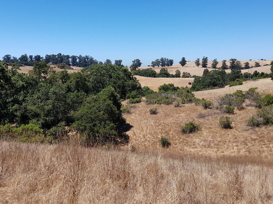 Pearson-Arastradero Preserve-帕罗奥多必去景点