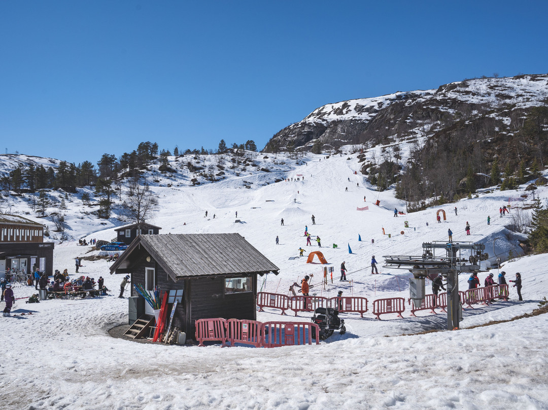 Sirdal Fjellpark景点图片