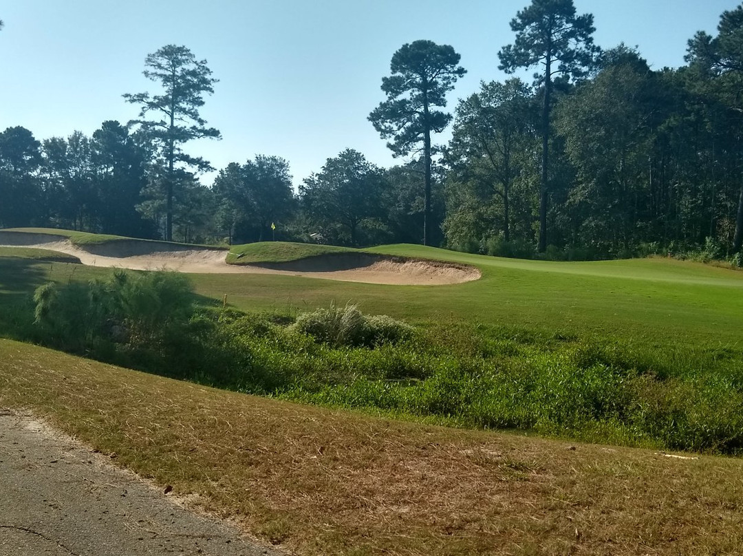 Eagle's Pointe Golf Club景点图片