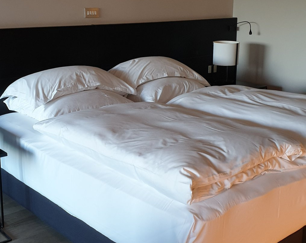 Eurostars Pamplona主图