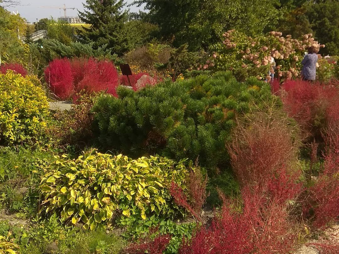 Botanical Garden-Institute景点图片