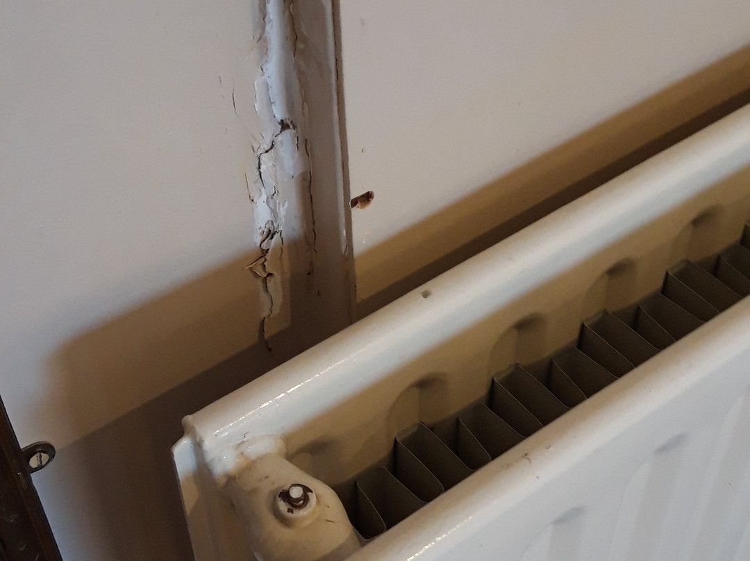 The Avenue Hotel主图