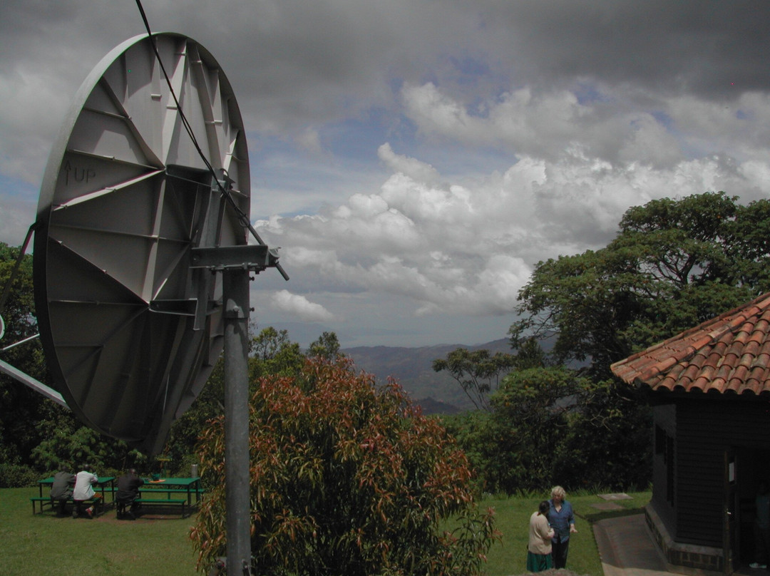 Nyungwe National Park - Rwanda景点图片