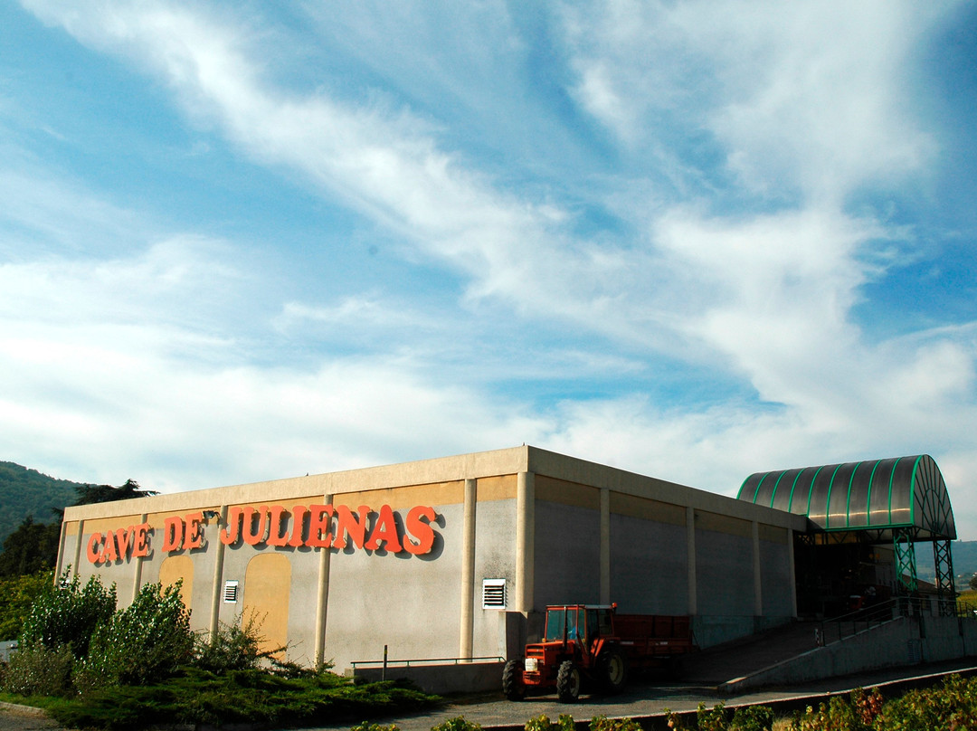 Cave de Julienas (Julienas Chaintre Vignerons Associes)-Julienas必去景点