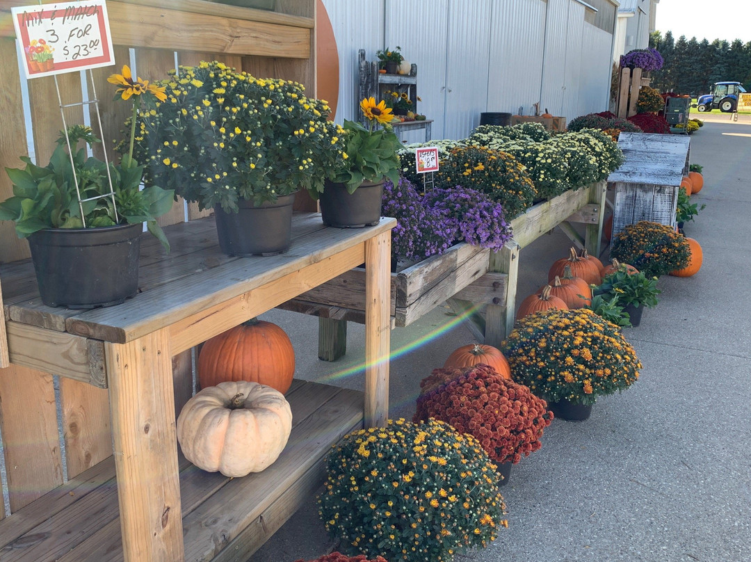 Selmi's Greenhouse and Family Farm-Rock Falls必去景点