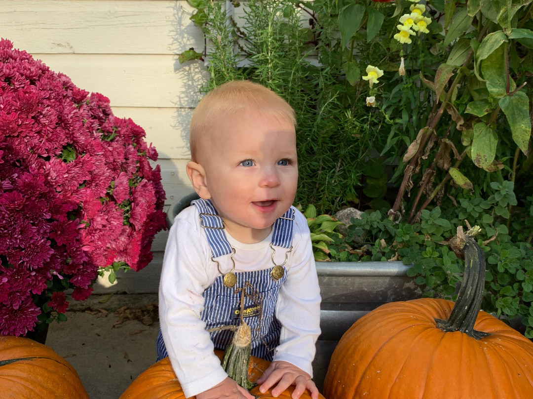 Luceline Orchard-Watertown必去景点