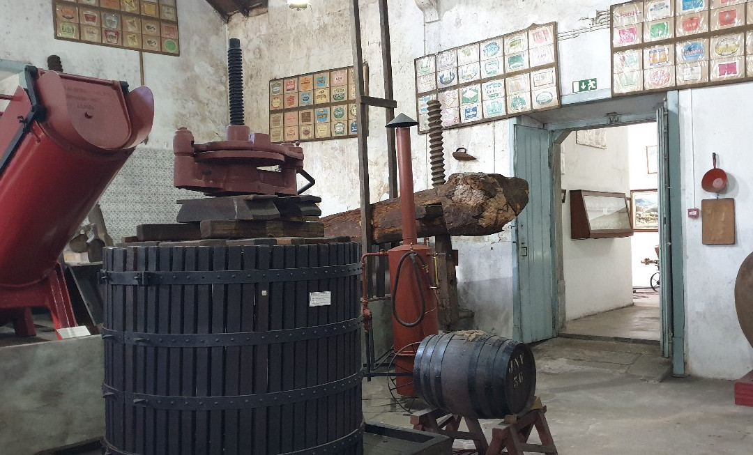 Museu Do Vinho De Alcobaca景点图片