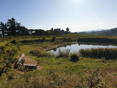 Tenuta Scrafana-蒙泰瓦尔基必去景点