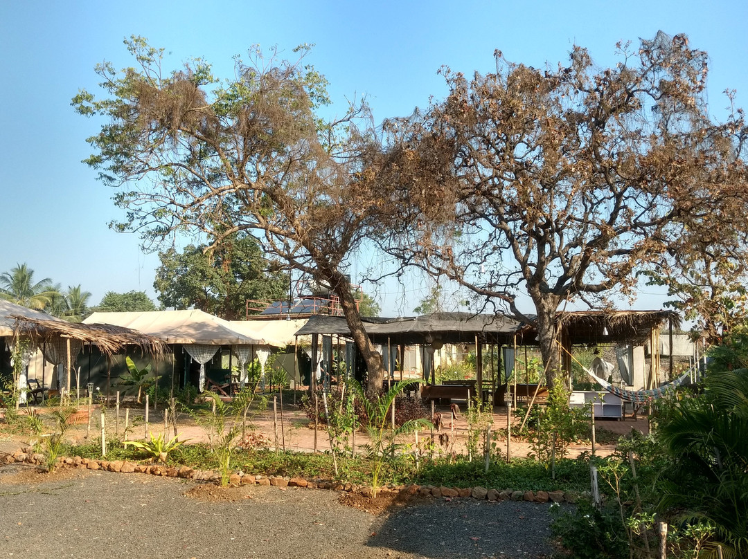 Bohemyan Blue Stay主图