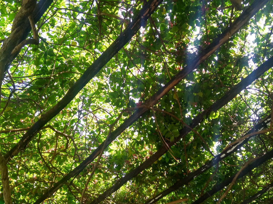 Pousada Solar das Gaivotas主图