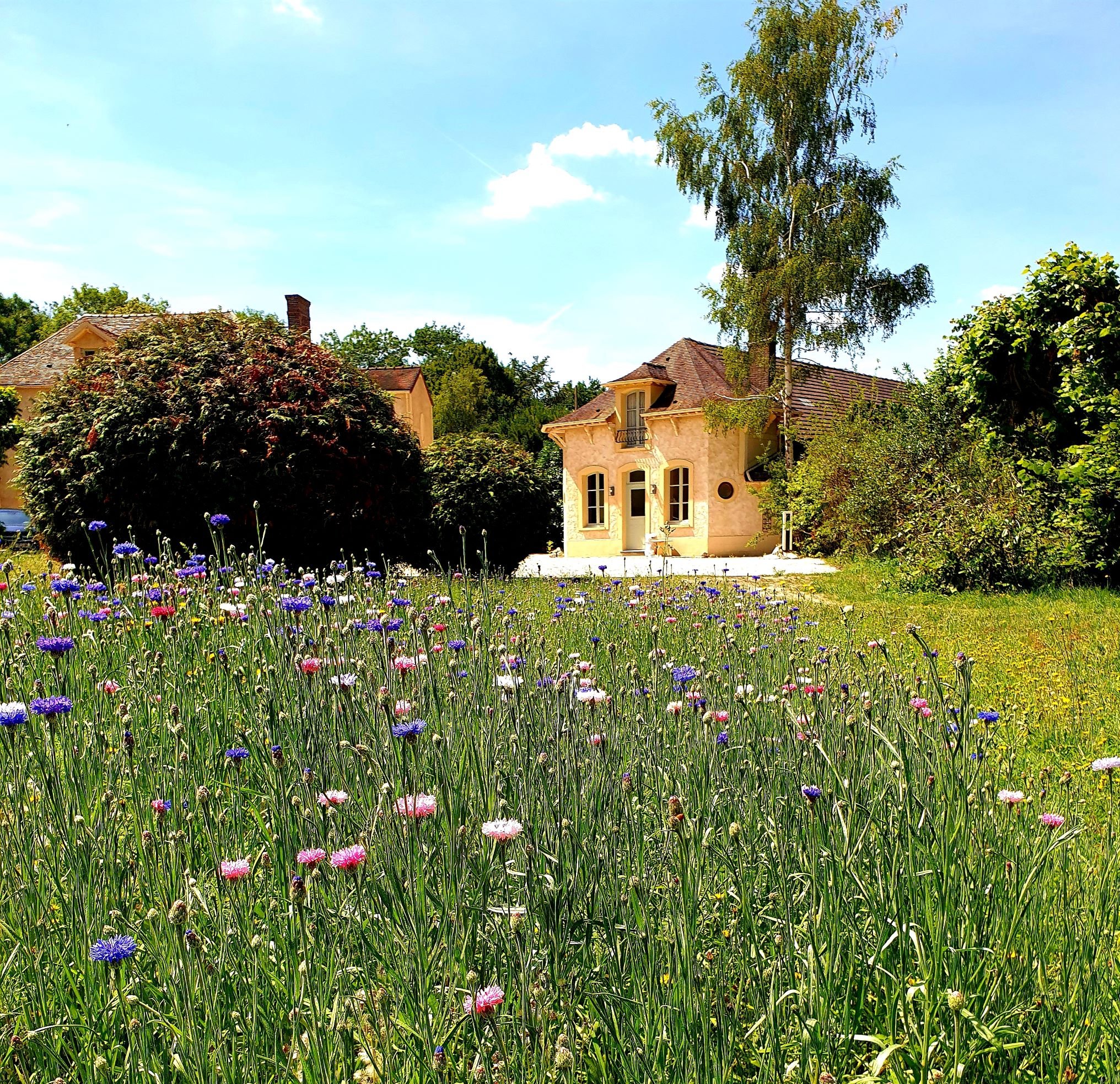 Domaine Les Bruyeres-官方