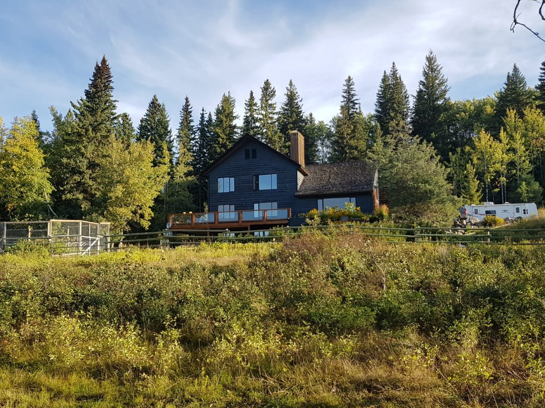 Juniper Trails Bed and Breakfast主图