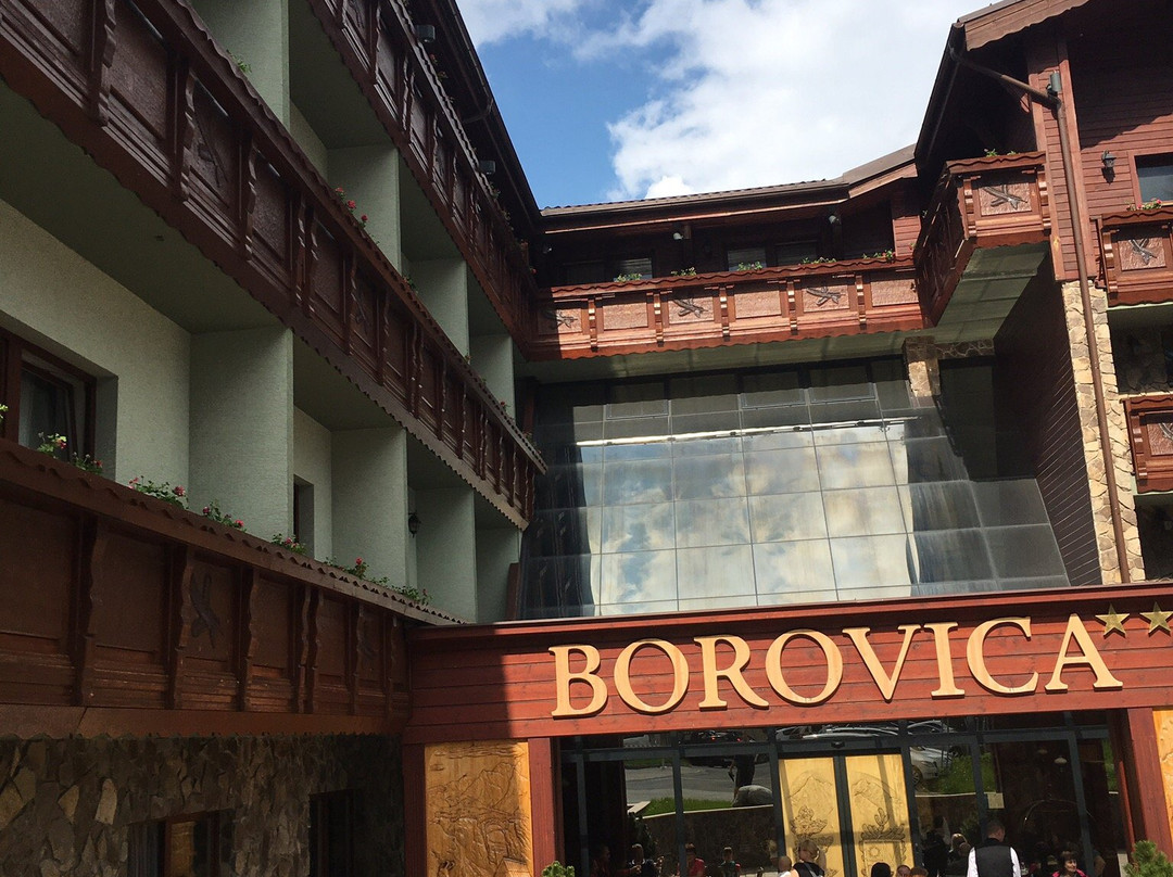 Wellness Hotel Borovica主图