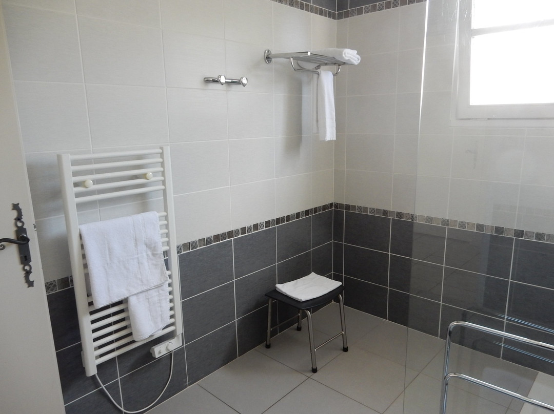 Logis Hotel La Croix du Sud主图