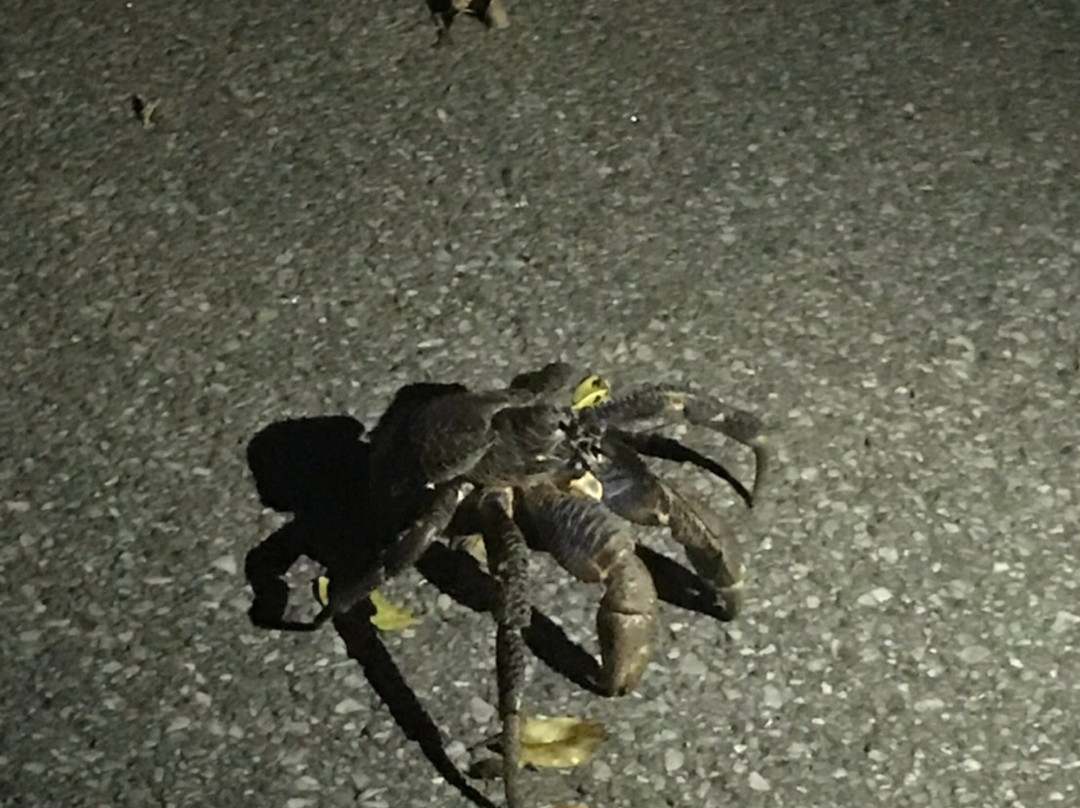 Miyako-jima旅游攻略图片