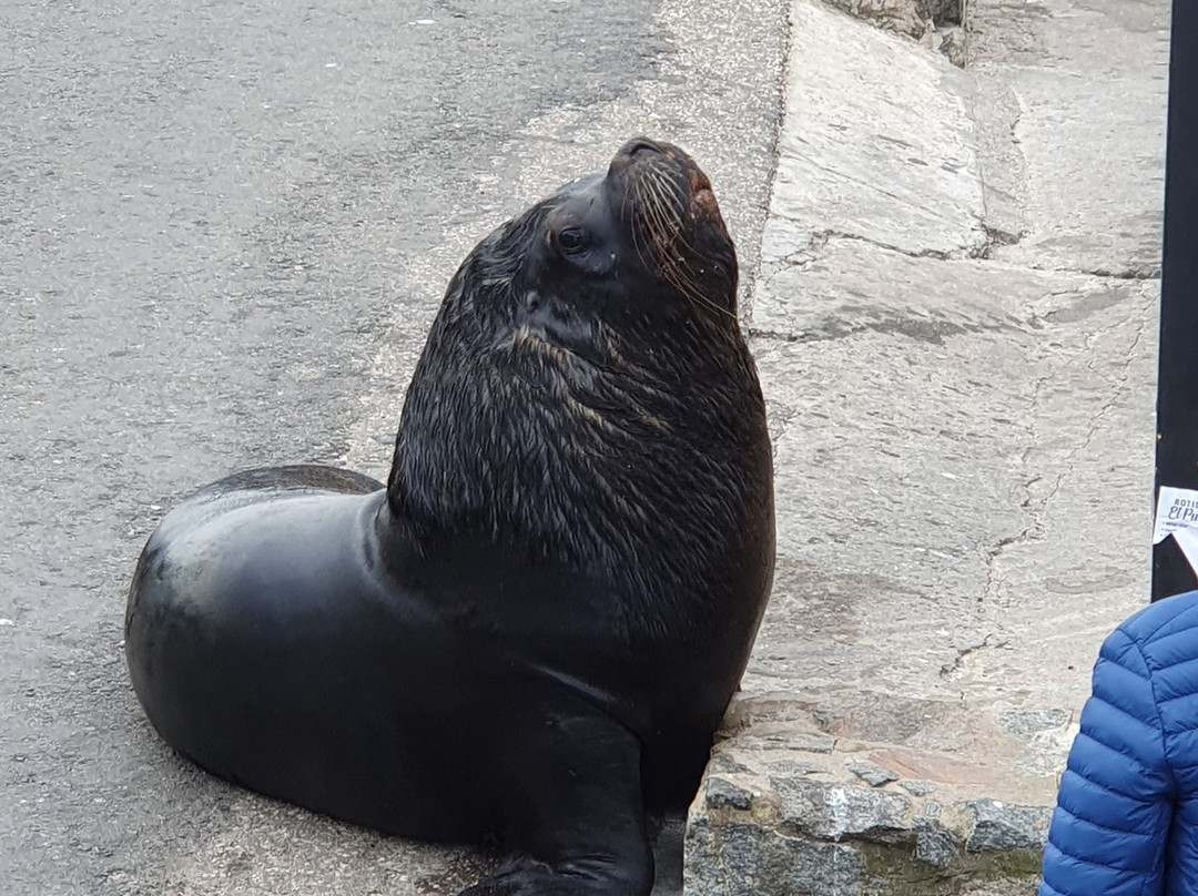 波多黎各德埃斯特角城-埃斯特角城必去景点