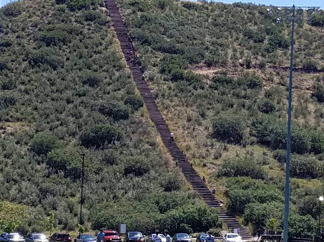 Miller Activity Complex-罗克堡必去景点