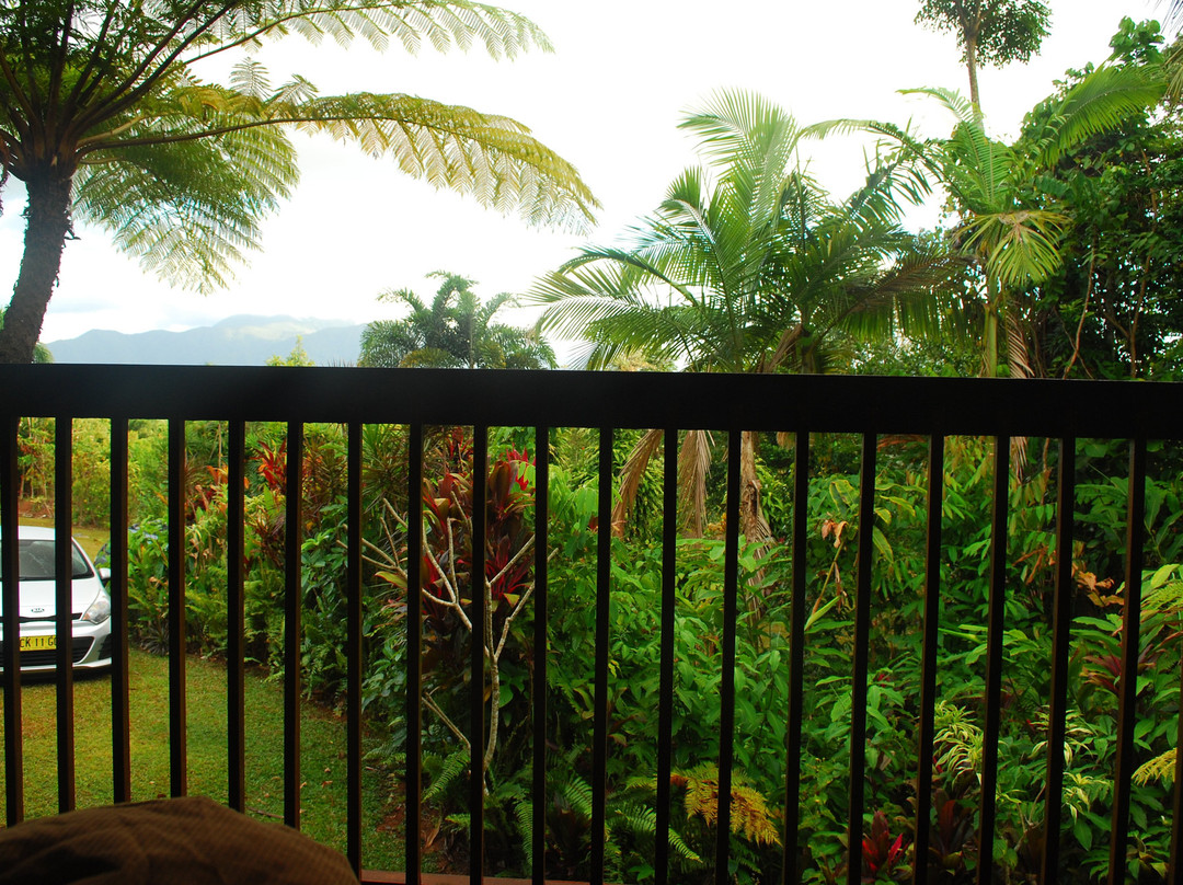 The Epiphyte Bed and Breakfast主图