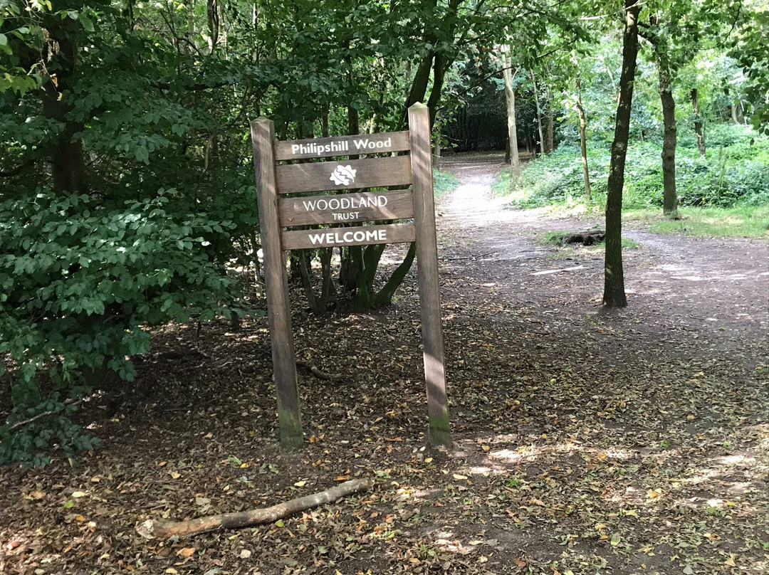 Philipshill Wood景点图片