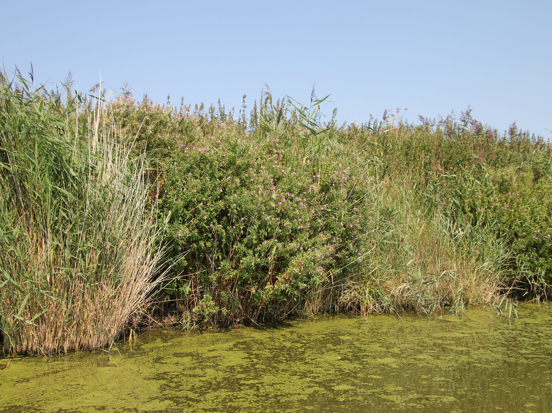Kanalrundfahrten - Abenteuer am Wasser-Krummhoern必去景点
