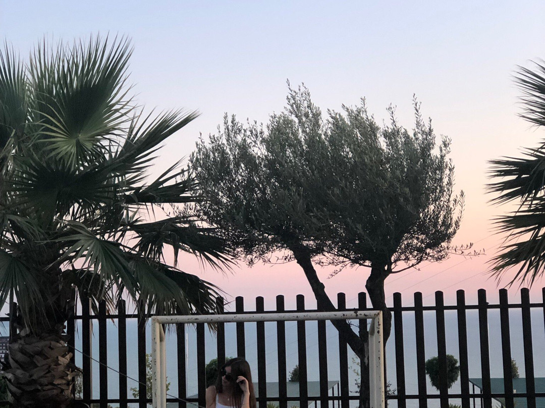 Kodra e Kuajve主图