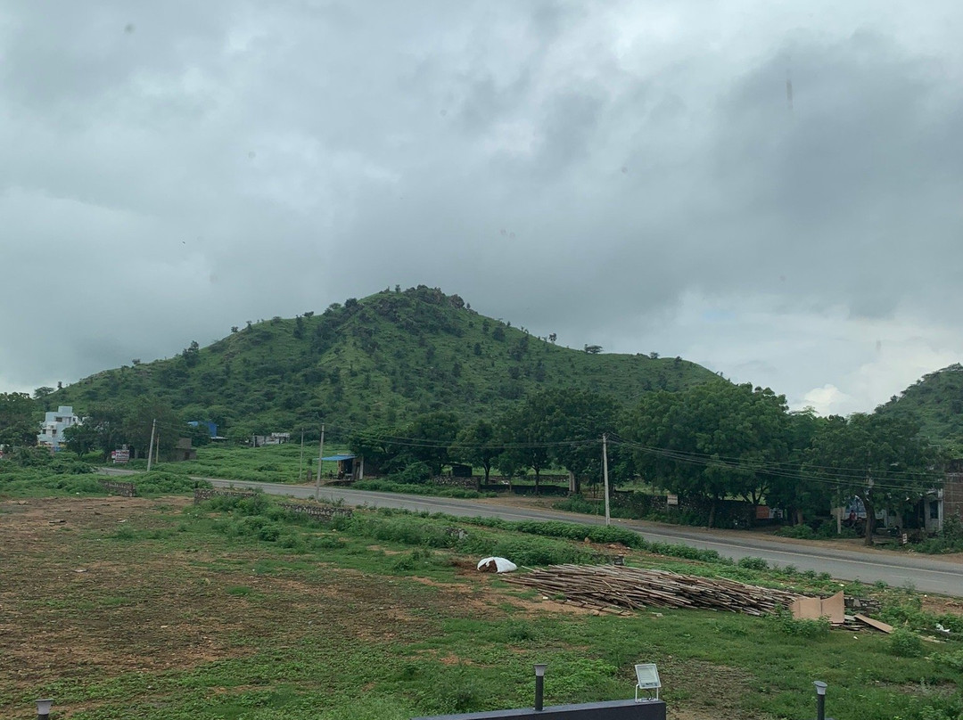 Hotel The Hind主图