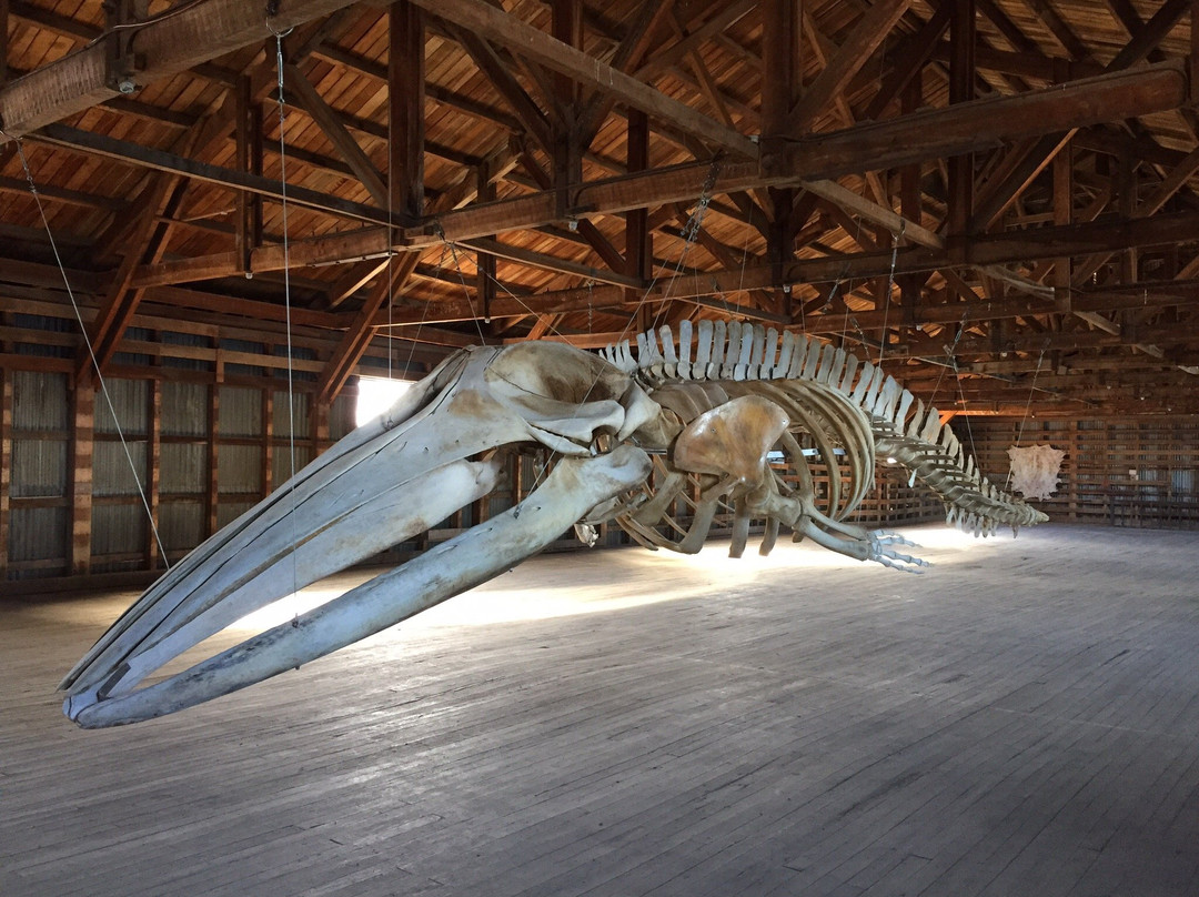 Museo de Historia Natural Río Seco-蓬塔阿雷纳斯必去景点