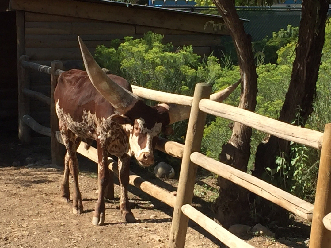 Pueblo Zoo-普韦布洛必去景点