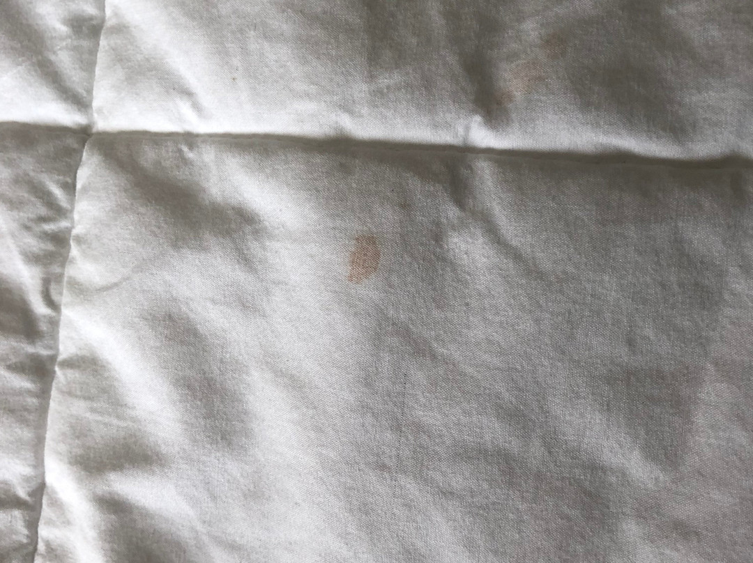 Quality Inn & Suites Altoona - Des Moines主图