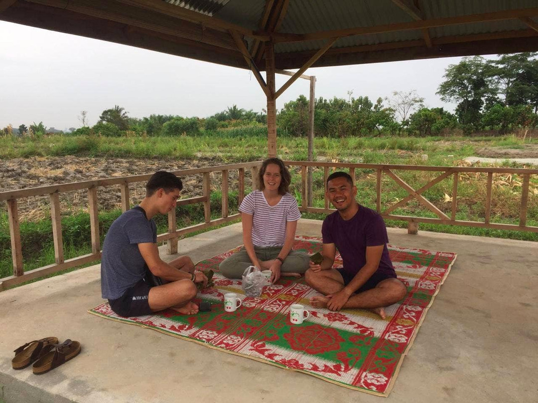 Jabu Sihol legacy主图