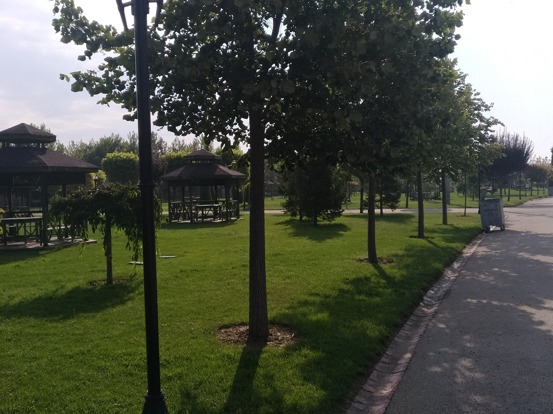 Olimpiyat Parki景点图片