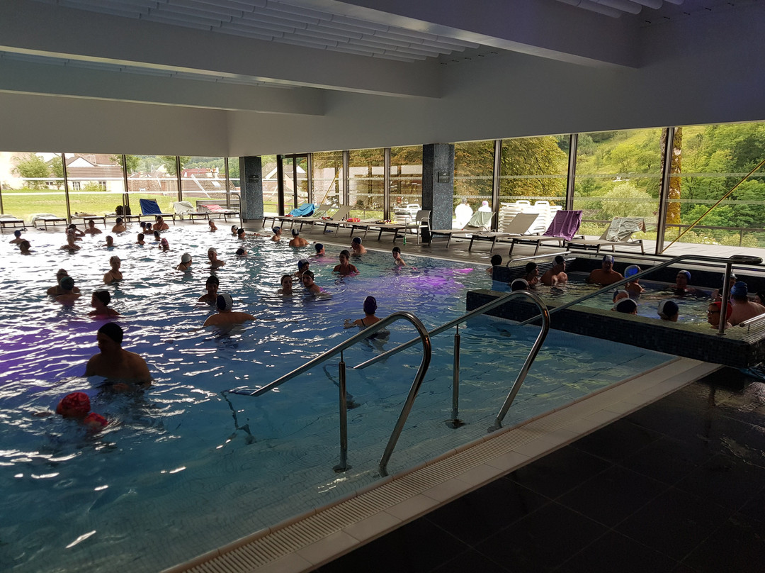 Therma Salina (Salins thermal baths and spa)景点图片