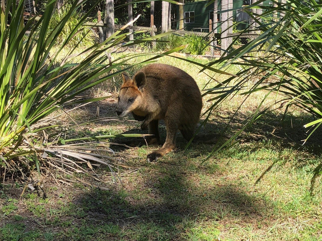 Ipswich Nature Centre景点图片