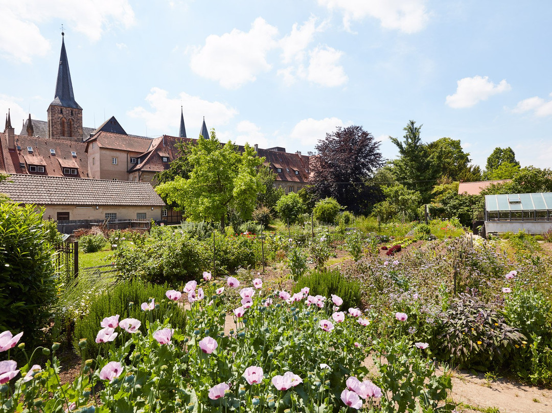 Kloster Bad Wimpfen主图