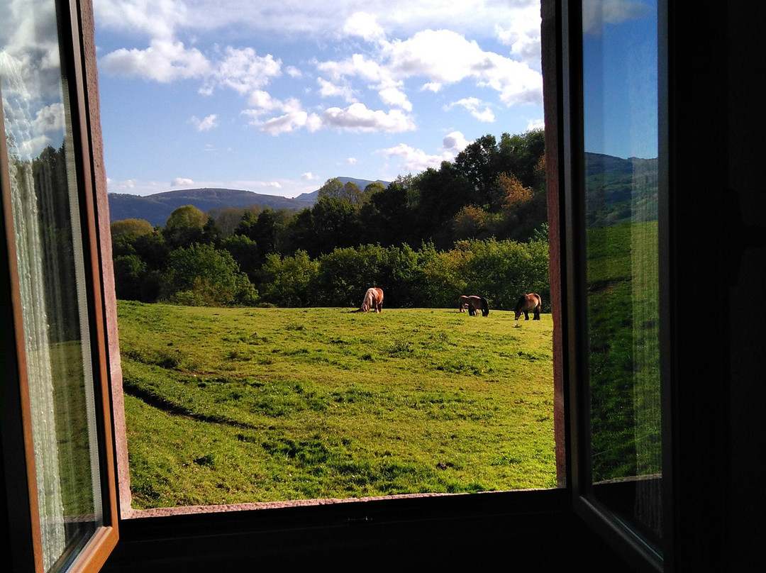 Posada De Ziga主图