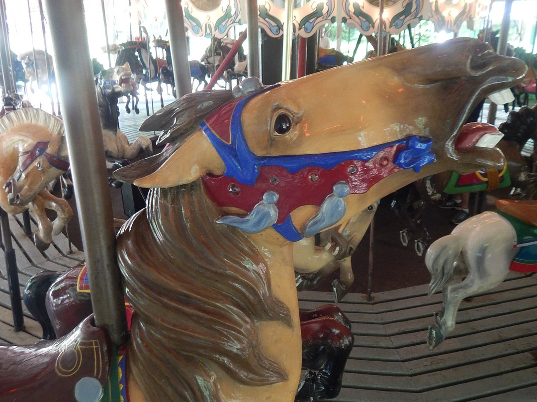 C. Fred Johnson Park Carousel-Johnson City必去景点