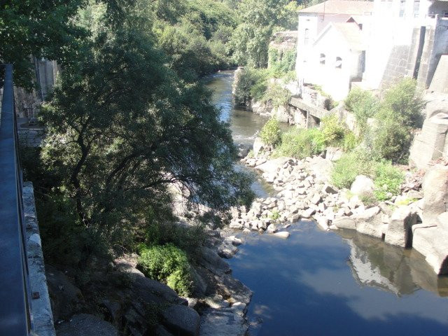 Parque Novo Amieiro Galego-Vila das Aves必去景点