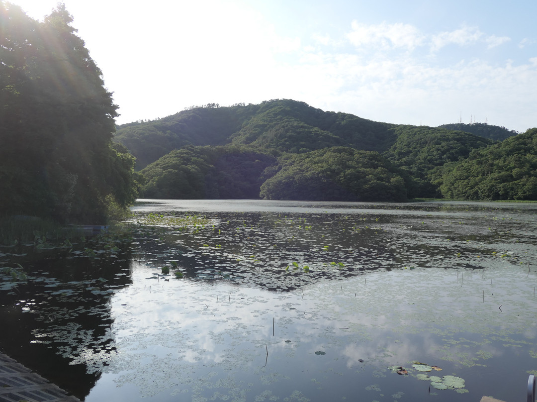 Oyama Kamiike Pond-鹤冈市必去景点