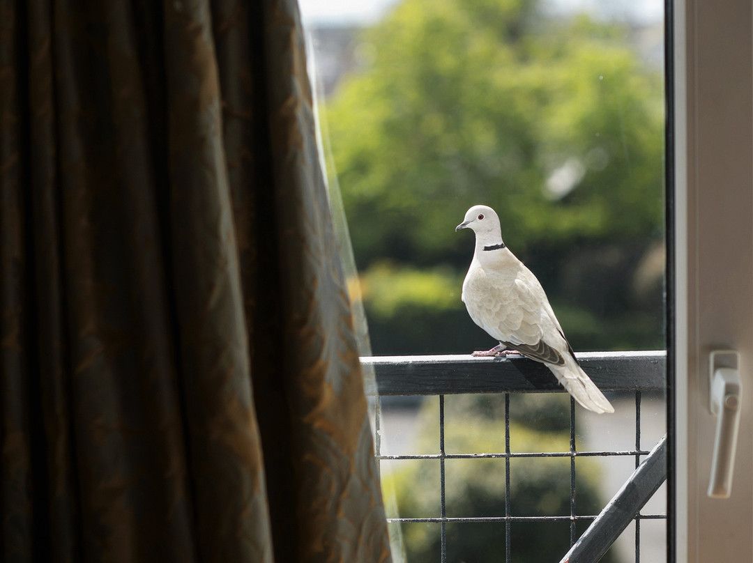 Hylands Burren Hotel主图