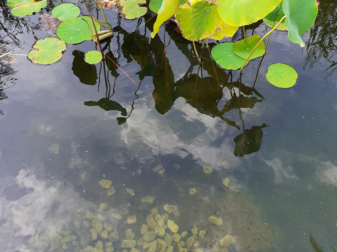 Blumengärten Hirschstetten-维也纳必去景点