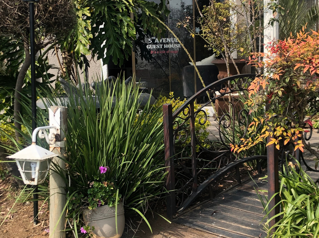 5th Avenue Guest House主图