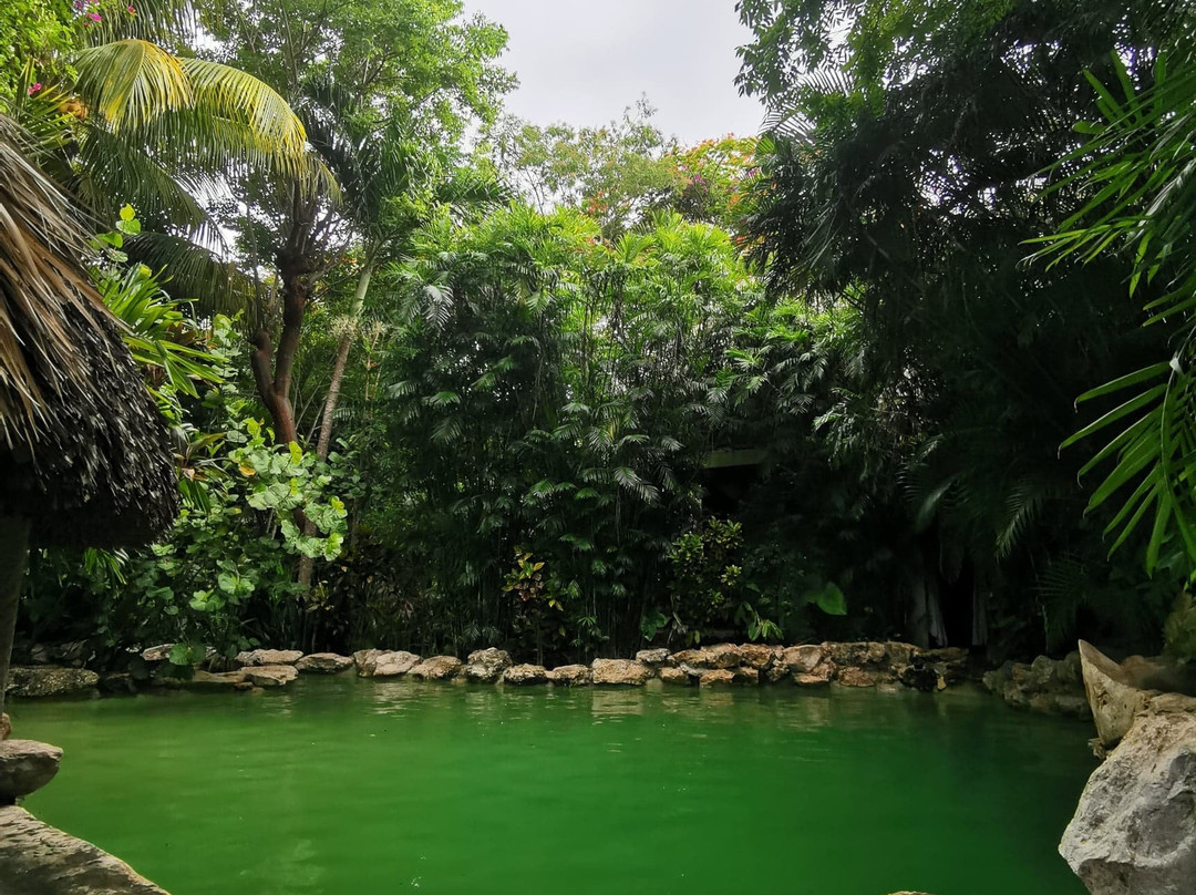 Genesis Eco Oasis主图