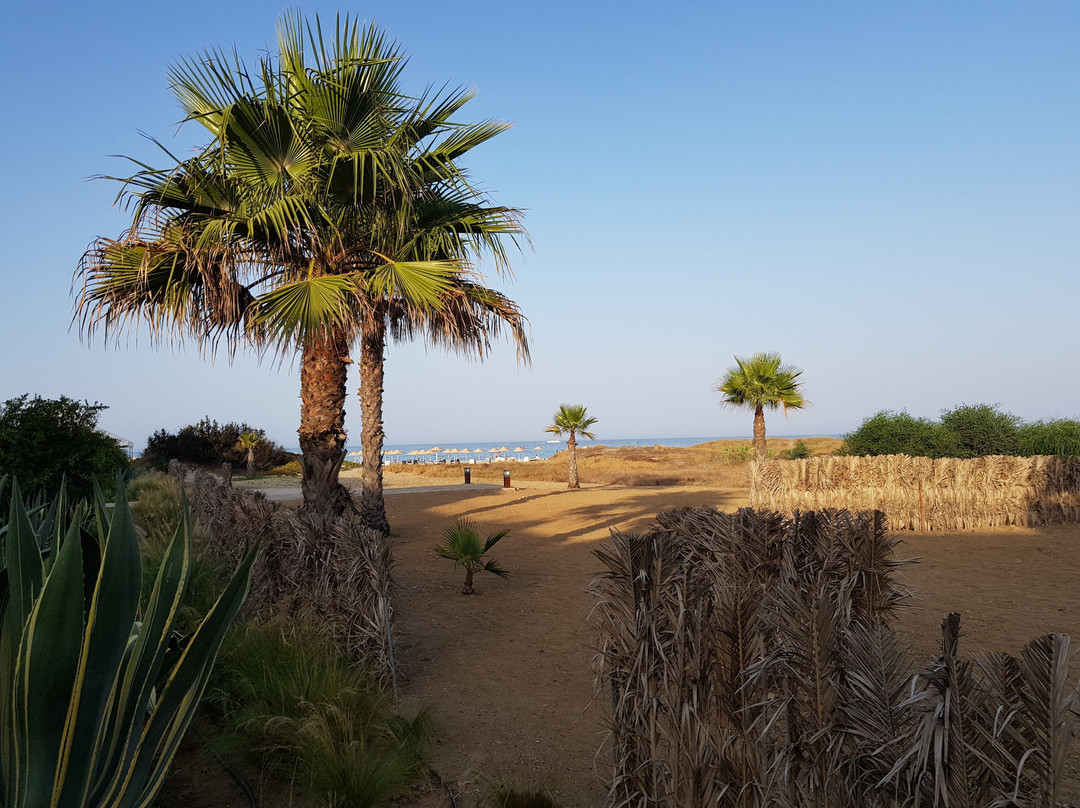 Club Med Yasmina - Morocco主图