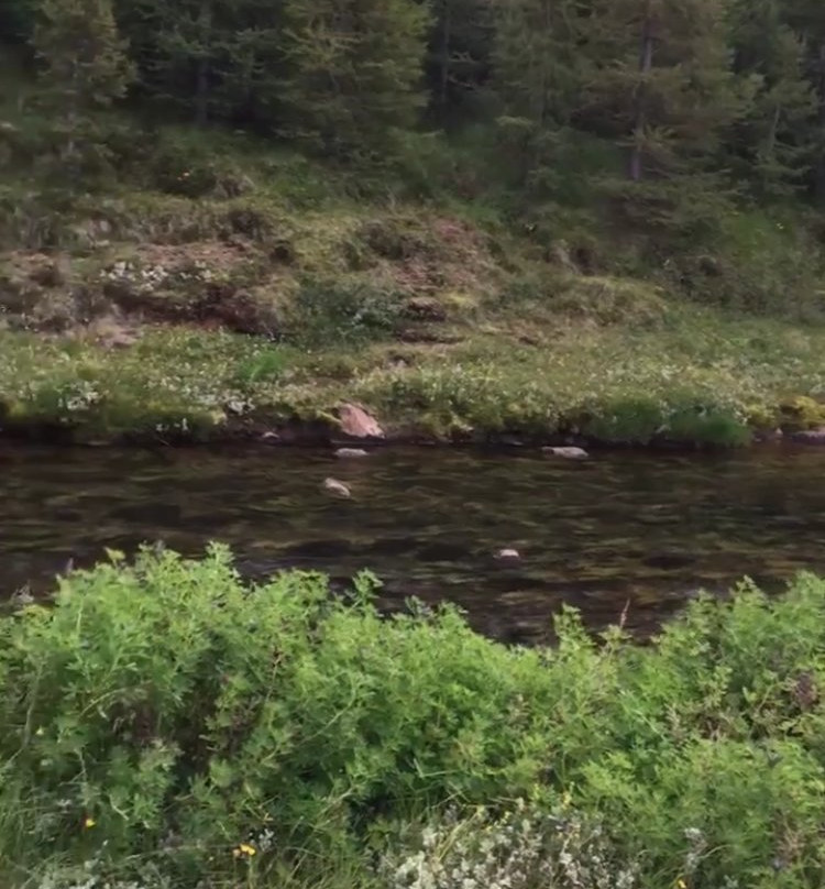 Galdrahestar Riding Tours-埃伊尔斯塔济必去景点